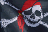 pirate flag, skull and crossbones