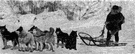 man, dogs, and dog sled