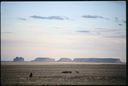 prairie scene