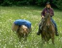 woman riding horse on trail
